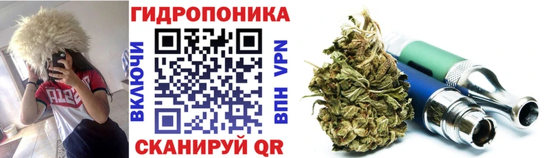 Купить где  Верещагино  Шишки марихуана план 